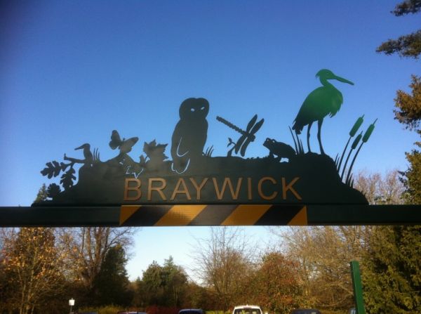 Braywick Park 
