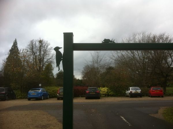 Braywick Park 